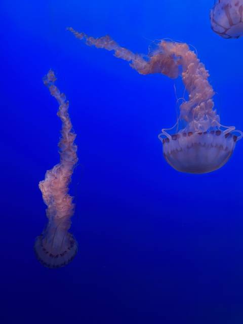 @millennialgenie nude millennialgenie nude