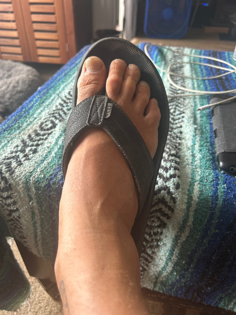 Mike profile picture