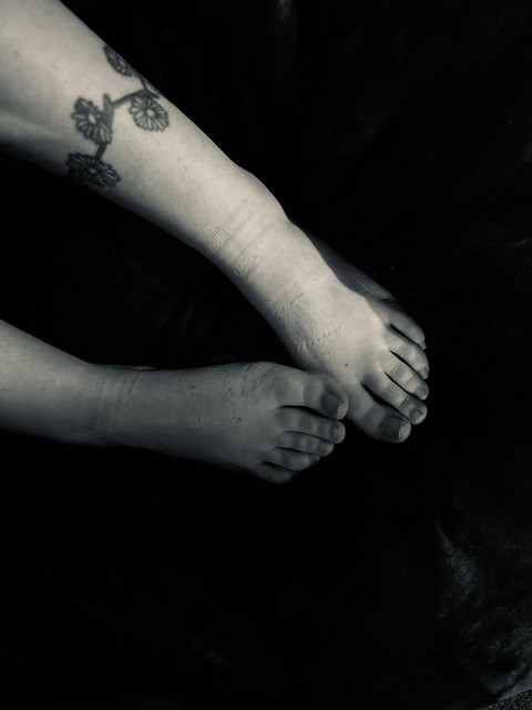 Feet_Lover.Pics👣 profile picture