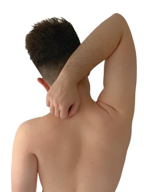 @lahormiguitak nude lahormiguitak nude