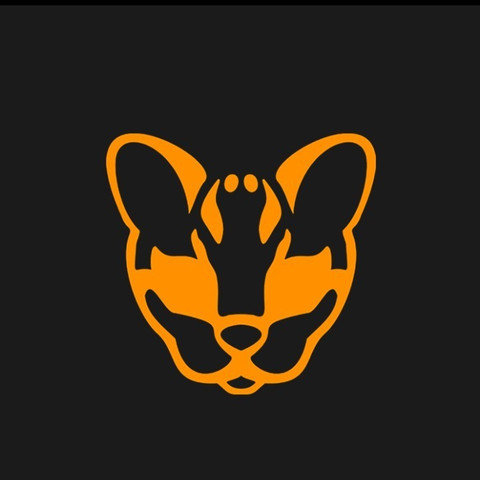 RockerOcelot profile picture