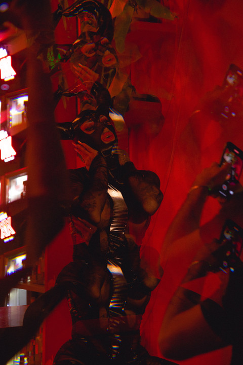 Dany Torres profile picture