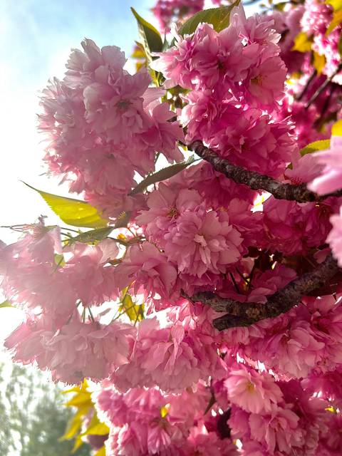 @snuggle_me_bby nude snuggle_me_bby nude