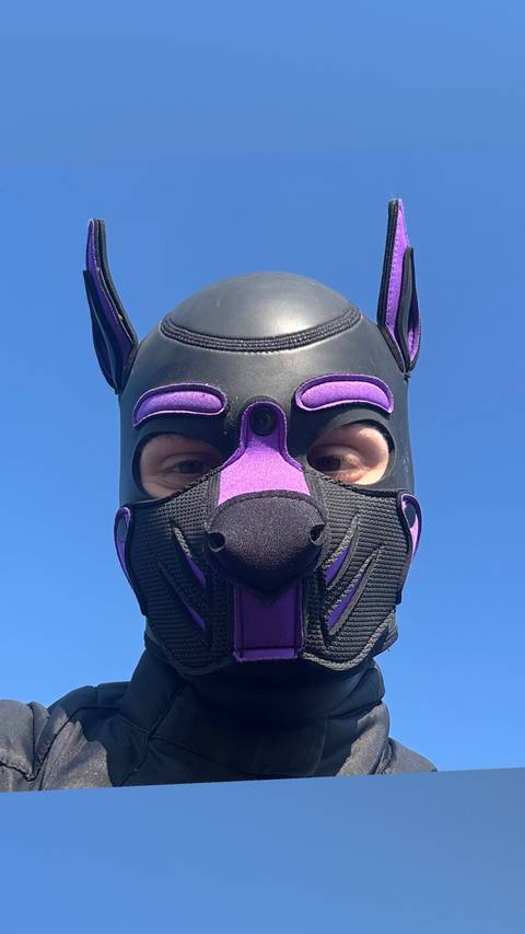@sammythepuppy @sammythepuppy