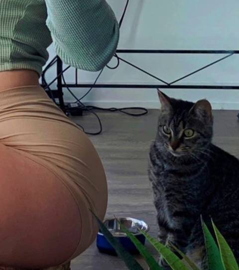 @methaddict1 nude methaddict1 nude