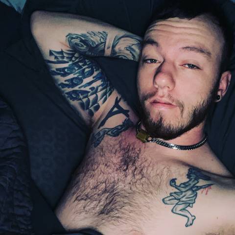 @curi0uscub @curi0uscub