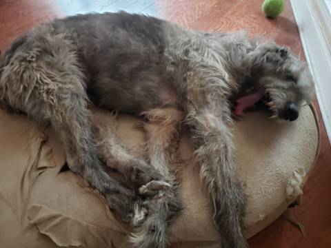 @tenkini nude tenkini nude