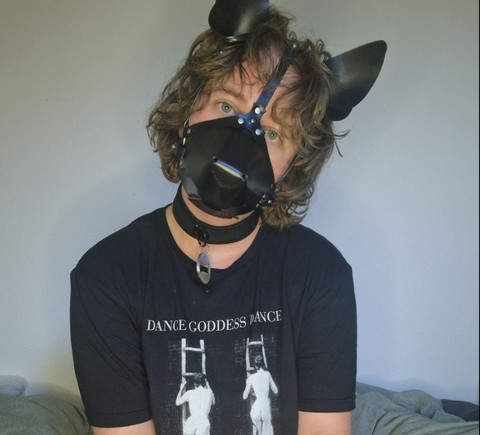 daniel profile picture