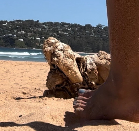 Camms profile picture