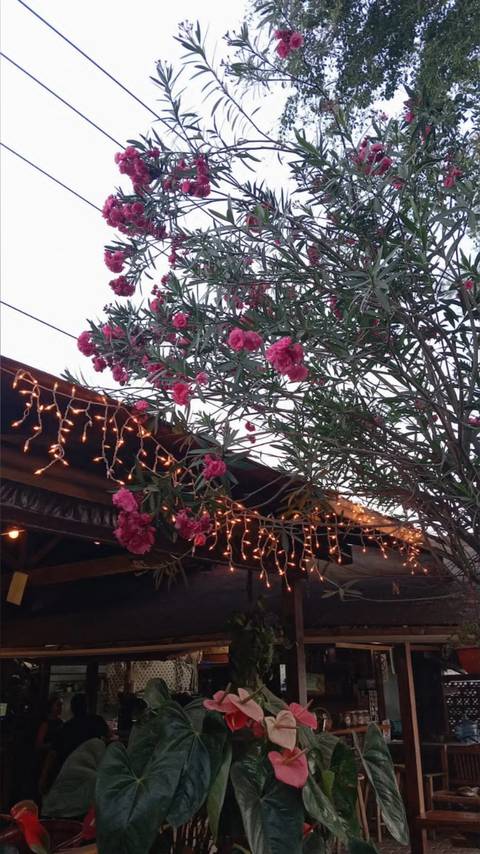 @arturoftm nude arturoftm nude