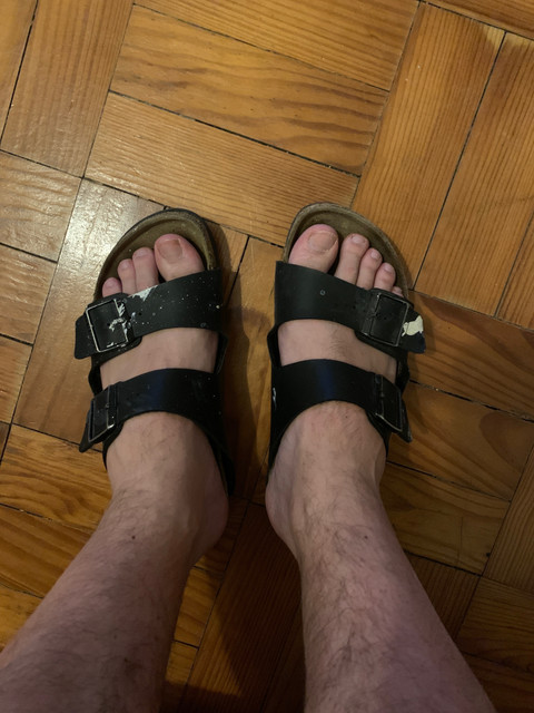 FEETuccini alla bolognese profile picture