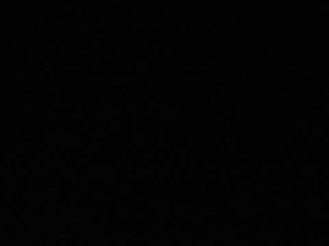 @frenqing nude frenqing nude