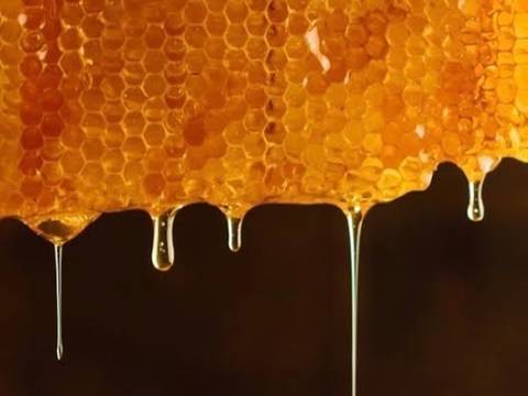 @honeygoth666 nude honeygoth666 nude