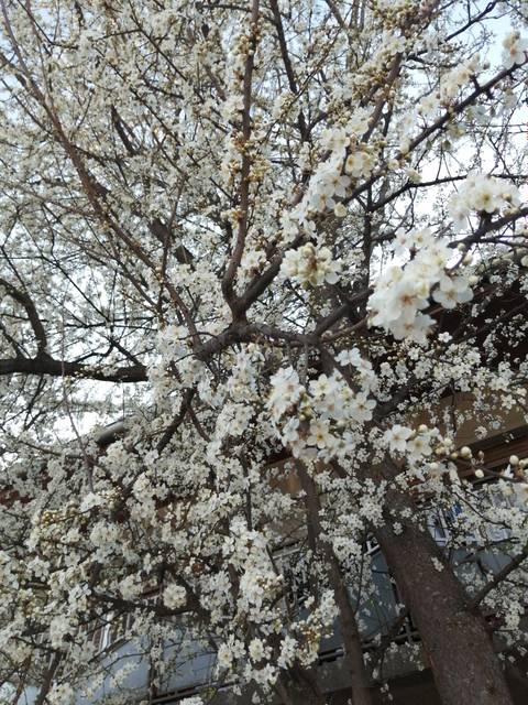 @ephemera3 nude ephemera3 nude