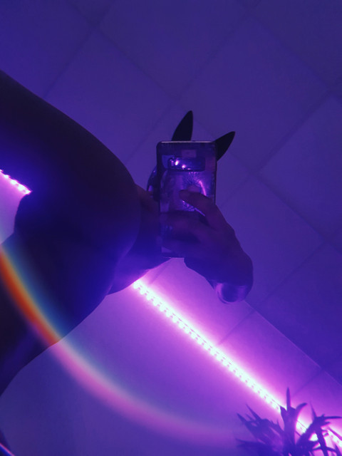 astro 🌈🍑 profile picture