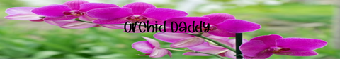 @orchid_daddy nude orchid_daddy nude