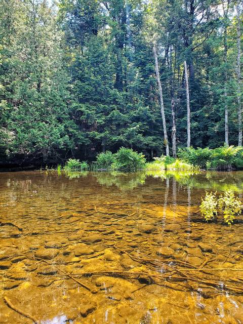 @woodlifesex nude woodlifesex nude