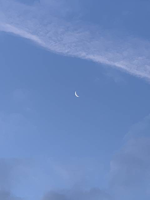 @xxaltheamoonxx nude xxaltheamoonxx nude