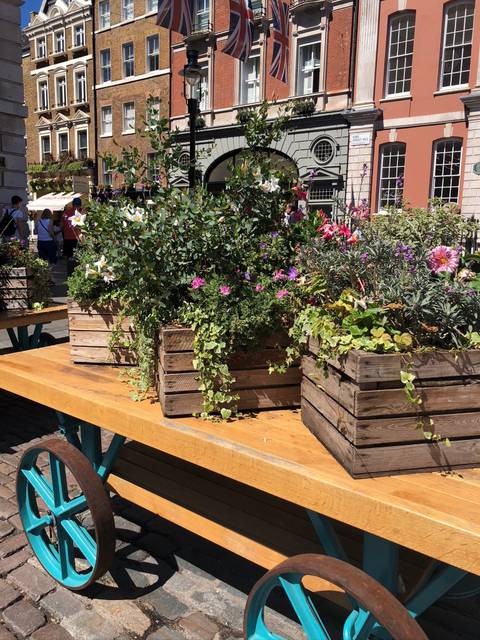 @tudoctorfav nude tudoctorfav nude