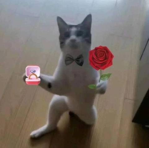 @marssss666 @marssss666