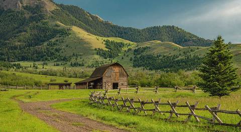 @bigdaddy1975 nude bigdaddy1975 nude