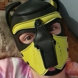 New Pup On The Block profile picture