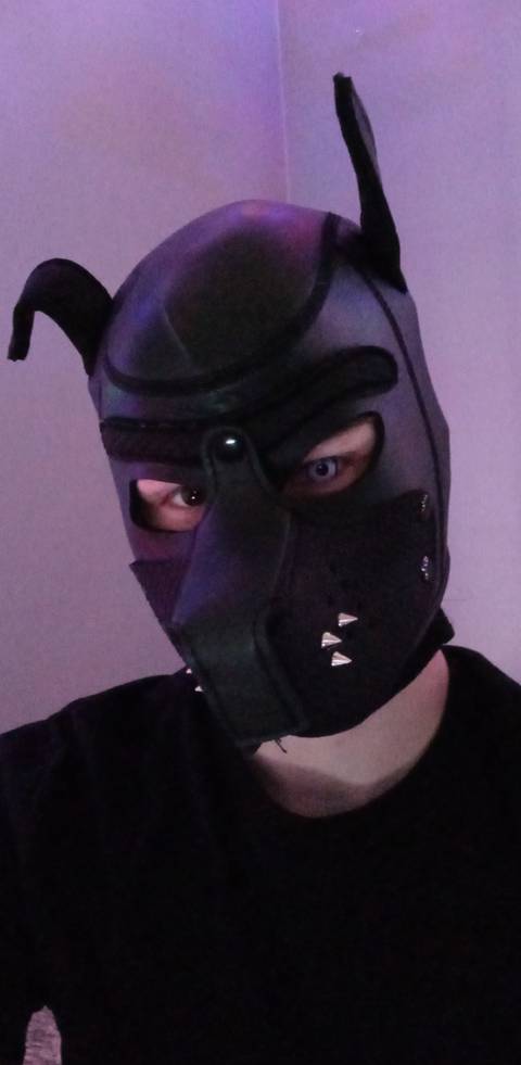 @switch_pup @switch_pup