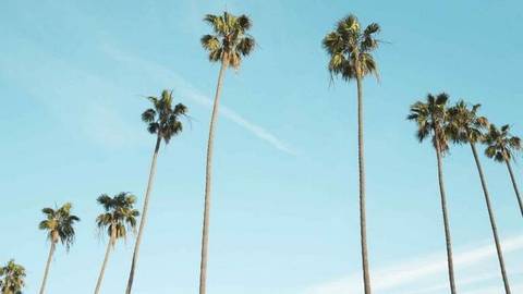 @eastcoastyoungbabe nude eastcoastyoungbabe nude