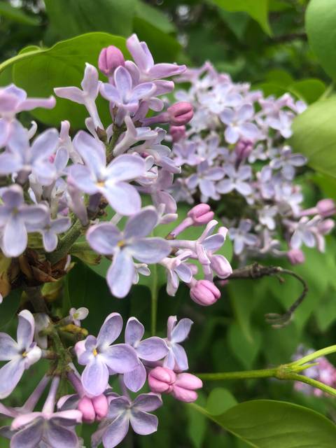 @u107198072 nude u107198072 nude