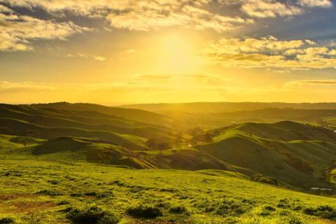 @stevensosa101 nude stevensosa101 nude