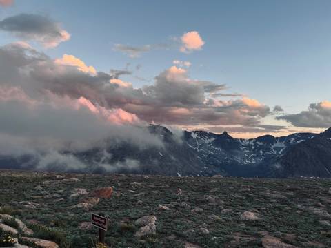 @tigerxblossom nude tigerxblossom nude