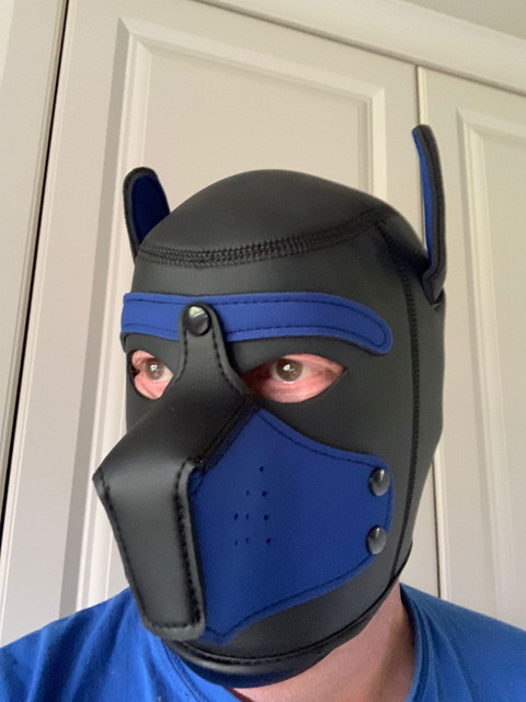 No1 Pup - BDSM, FETISH & KINK ๐ FREE ๐ profile picture
