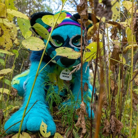 Lil Big Spike profile picture