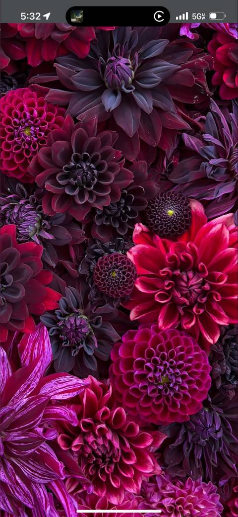 @rough_velvet_x nude rough_velvet_x nude