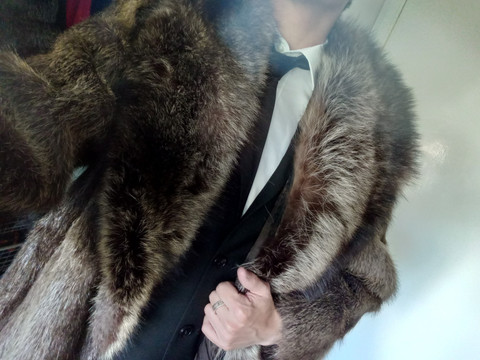 TheFurAccount profile picture