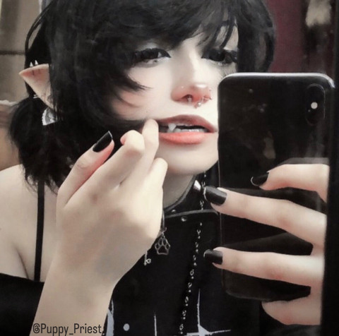 Pip🐕🦺🦴🐾⛪️ profile picture