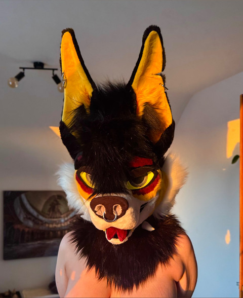 Nova🪐 profile picture