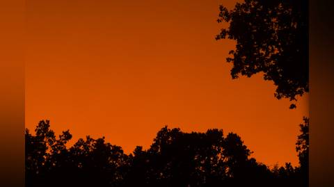 @elric74 nude elric74 nude