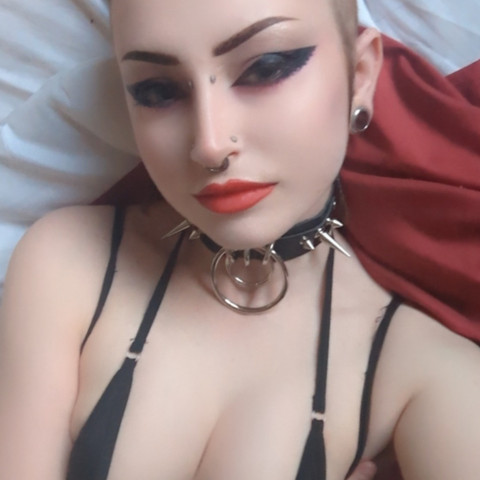 Blaire 🎲 But For FREE profile picture