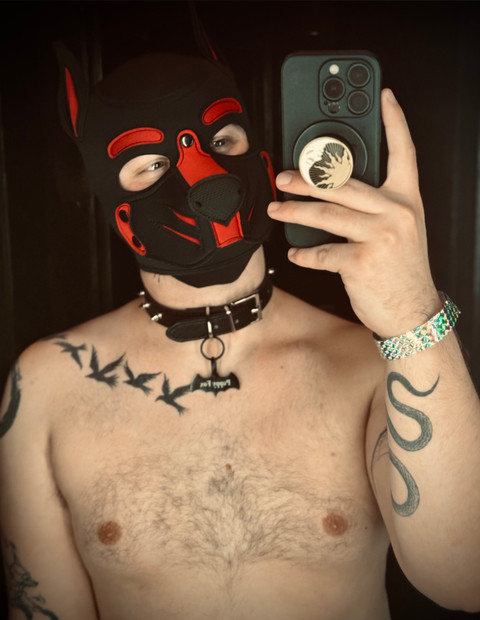 𝔓𝔲𝔭𝔭𝔶 𝔉𝔬𝔵 🦊 profile picture