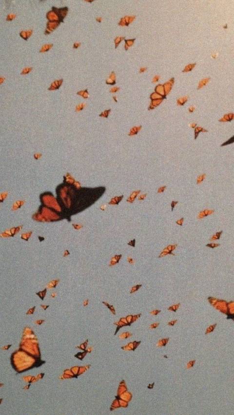 @onlyomike nude onlyomike nude