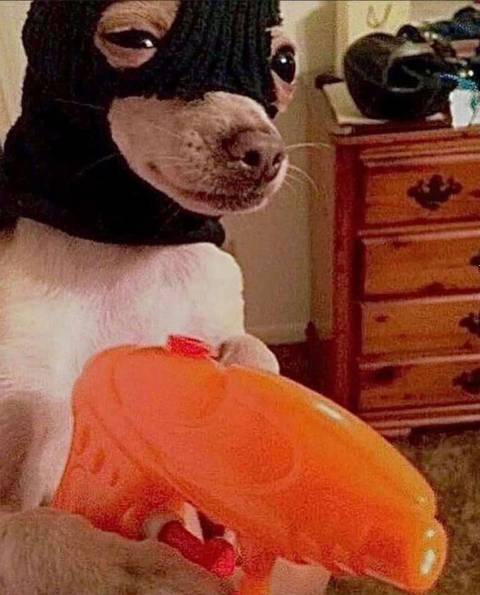 @uwatchmefck @uwatchmefck