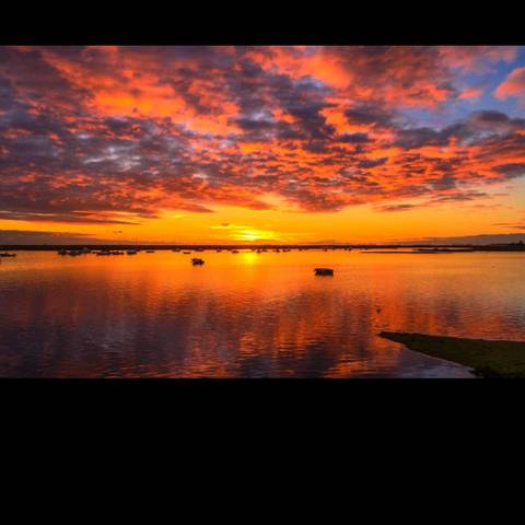 @dania1ofi nude dania1ofi nude