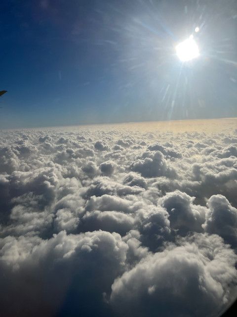 Robin Moon profile picture