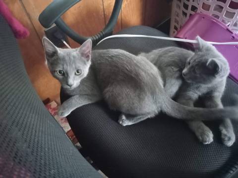 @u256946396 nude u256946396 nude