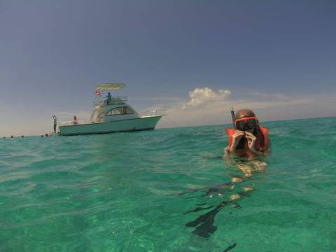 @wolfie_girl_17tease nude wolfie_girl_17tease nude