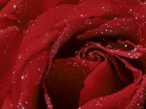 @poisonalii nude poisonalii nude