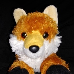 ScreamoFangirl profile picture