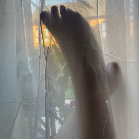Lush feet gallery profile picture
