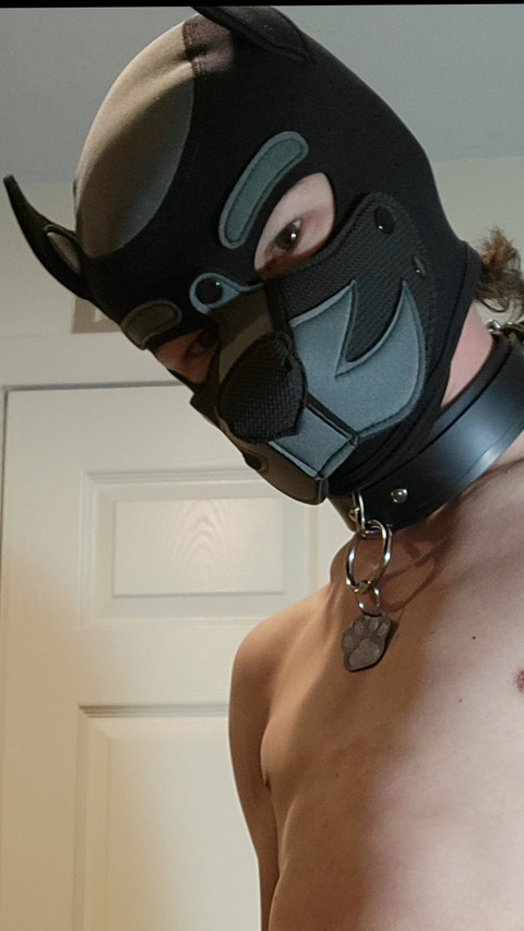 Pup Miles profile picture